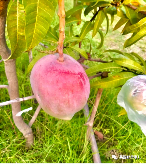 Feature Image