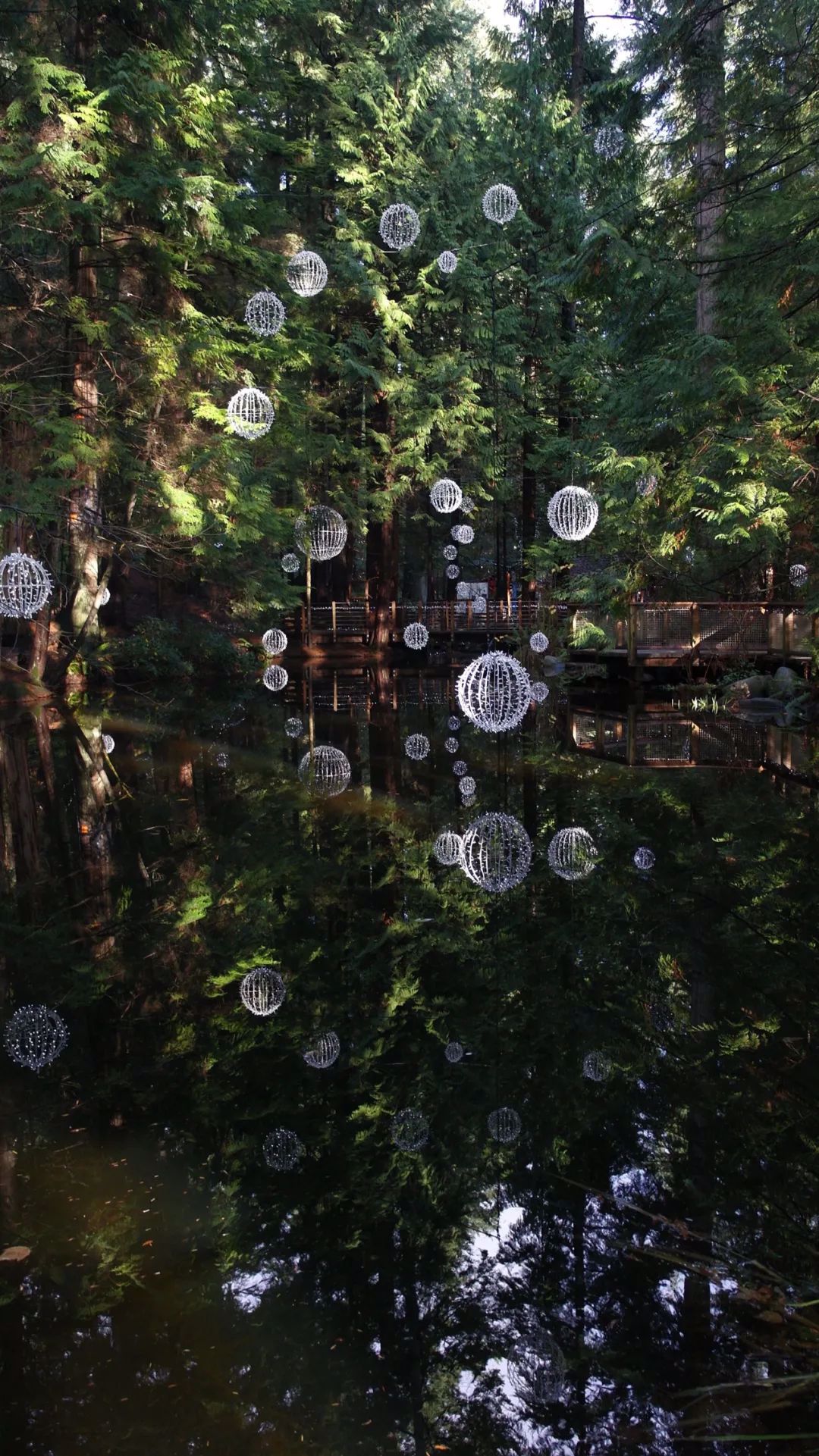 ULKuoWx4D68MN6SQXUUVD90E9LgcgG1qoC1AEKTLX2w0dIGN6TicPianadNLg8kMAW4ryWibTpxicfDRicXdEMicT88A_629bcd6003c2c ULKuoWx4D68MN6SQXUUVD90E9LgcgG1qoC1AEKTLX2w0dIGN6TicPianadNLg8kMAW4ryWibTpxicfDRicXdEMicT88A_629bcd6003c2c