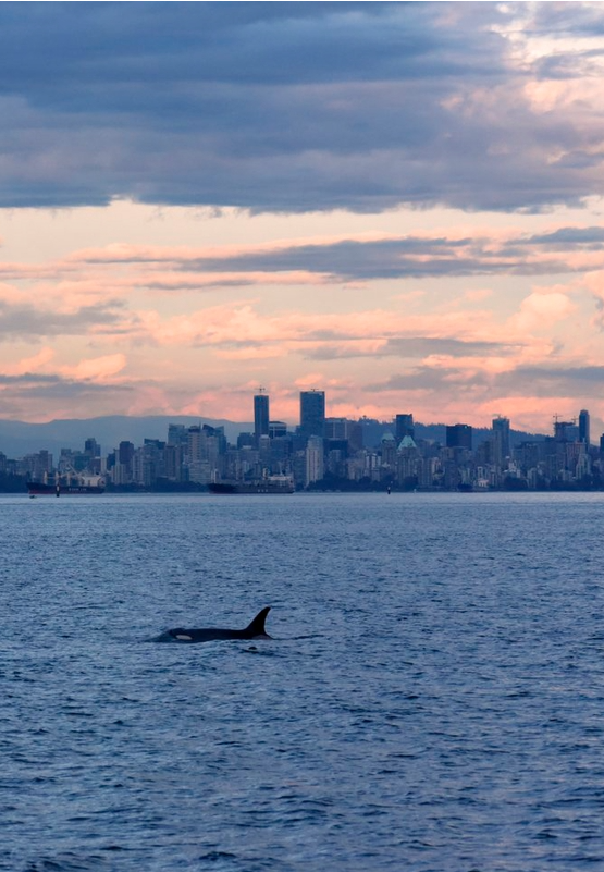 ULKuoWx4D693SgicOWheHf0ypvp0A7FGZ2lg50JFqhCpWFfvuRoibNHtbz2paFlicc7JJuOnhiauNpj5evianhbfHFQ_629bcd62e8375 ULKuoWx4D693SgicOWheHf0ypvp0A7FGZ2lg50JFqhCpWFfvuRoibNHtbz2paFlicc7JJuOnhiauNpj5evianhbfHFQ_629bcd62e8375