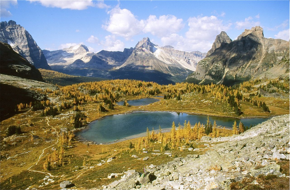 2RviaAMxX5VeUsTDtMoRqF285lz4G58TE1FelfKhMzmWOYW78iatqibCtYa9hM7Wq9icqoGhphMYTb2apgEKmaiaavA_629bca7d25a65