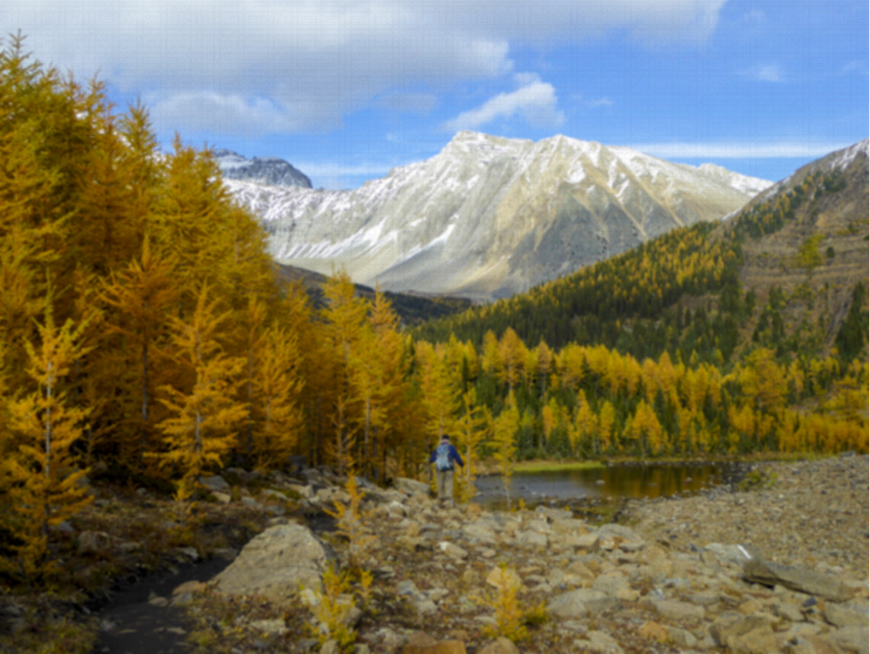 2RviaAMxX5VeUsTDtMoRqF285lz4G58TE3SHuvKbdUVErh3qyPBEPhJZ7BVzlmtjZMyzw6WxD8FGxFLIb2C7LoQ_629bca858dd86