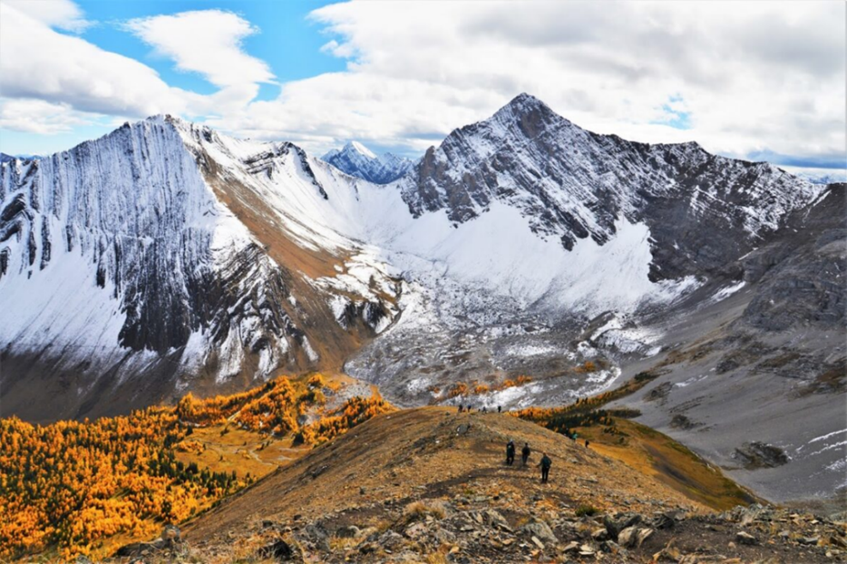 2RviaAMxX5VeUsTDtMoRqF285lz4G58TE759Ttf2aHwMVgARV37BcB0iaZsjSLESlib3MulAeeXFcd1WciaGTW2KfQ_629bca853a937