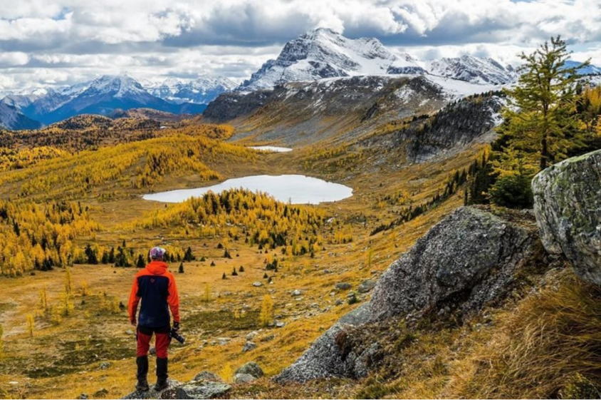 2RviaAMxX5VeUsTDtMoRqF285lz4G58TE9VxE72zZsfaOcepebIw0p4JWKx5CoPsicnib5ibSCpI0miaYpia1RZvMwmg_629bca84c59ac