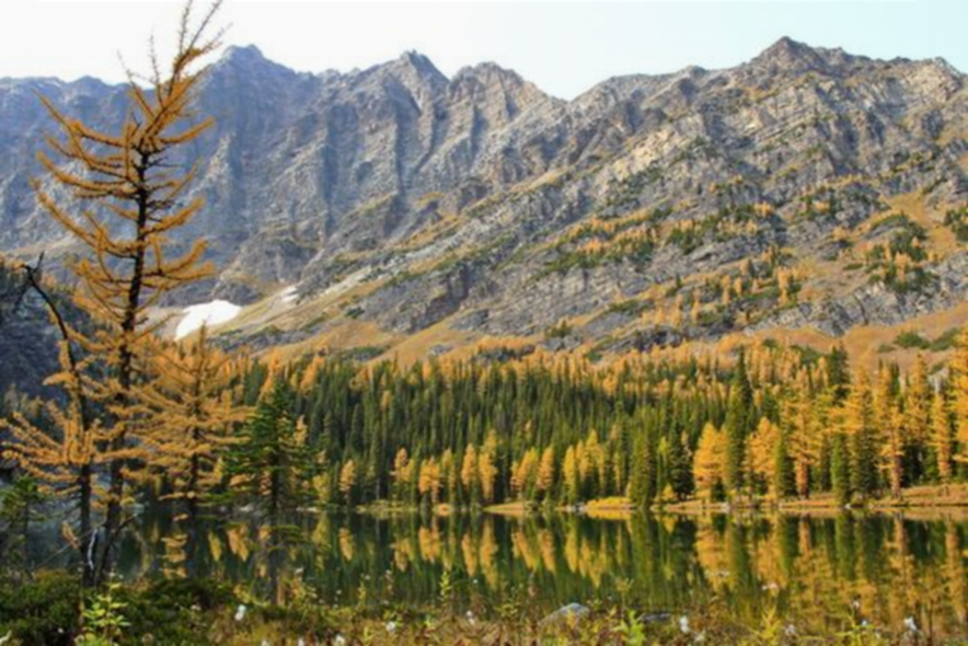 2RviaAMxX5VeUsTDtMoRqF285lz4G58TE9YgQmjN3mZRcy5CPUWuUHQIzws3V4vAaecOBDSOUoyTQIcTrbt2IYQ_629bca853cf41