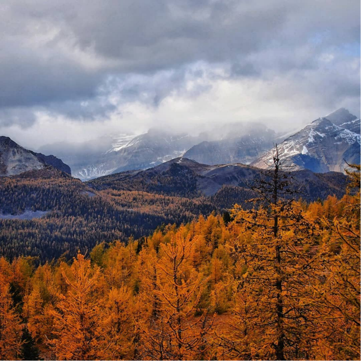 2RviaAMxX5VeUsTDtMoRqF285lz4G58TEI1271r29TGeNqO6HNW77GzQTrA2b2n73Z9MwSUHYxM9r6yJV7IHibOQ_629bca7b8f285