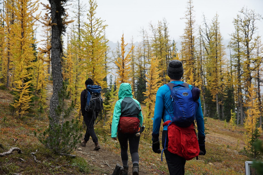 2RviaAMxX5VeUsTDtMoRqF285lz4G58TENwQtkficXaicWw2a0TCzeh60FafFT9QM9DyBdeZVrXzjkWpskg4BLaZg_629bca7d11670