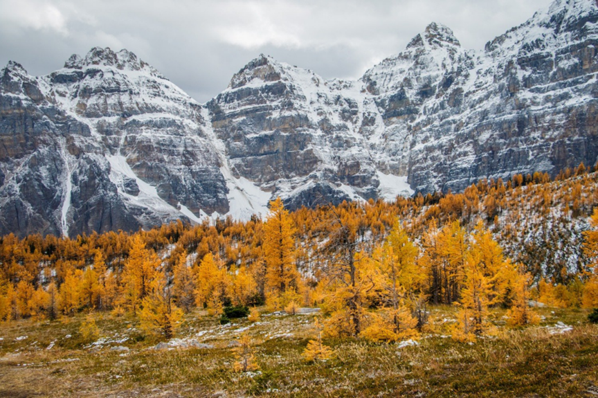 2RviaAMxX5VeUsTDtMoRqF285lz4G58TEWbiaKyAPl0yf3sDlp9cRia13jdPJeibENVHDsh48gBpQzOUyQUlGoWicBQ_629bca7b6875b