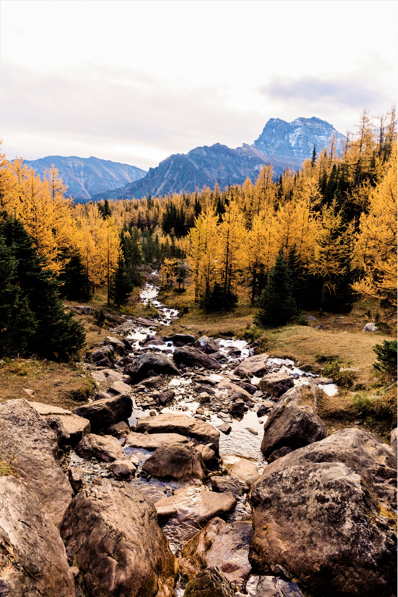 2RviaAMxX5VeUsTDtMoRqF285lz4G58TEagNAJCpEWslOiadicHV4SHu6hHPOdPLPn15zIYAqx4a4yHjG8oPdkSkQ_629bca83b2fcc