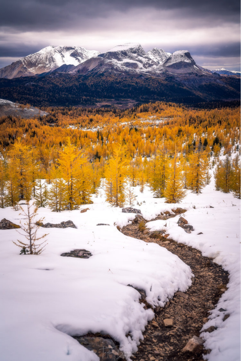 2RviaAMxX5VeUsTDtMoRqF285lz4G58TEaloCAXIk26kJIBlOlJPXZD4hQiaPIJdbP7OsJ4icwvdDQtWvIAsURBibw_629bca81c982c