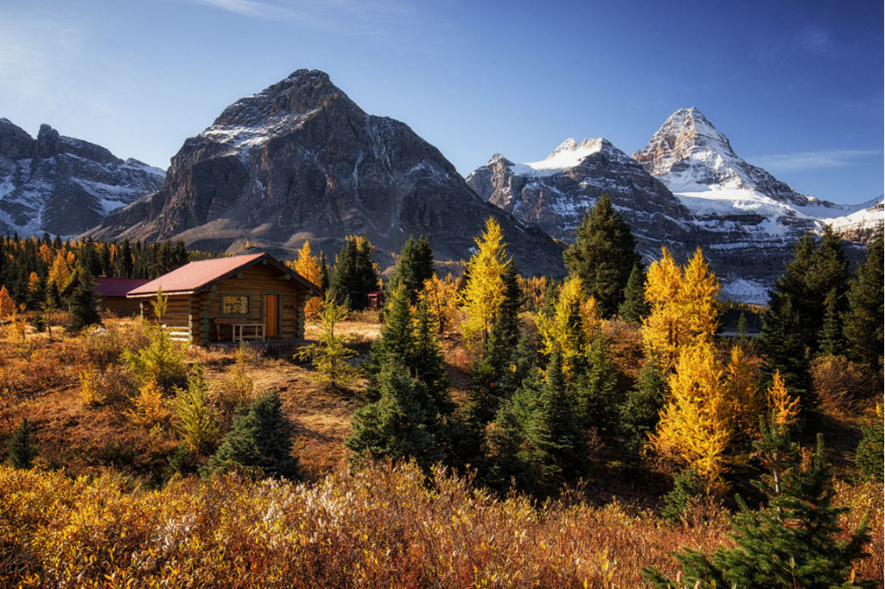 2RviaAMxX5VeUsTDtMoRqF285lz4G58TEcKawUemObf0errVrKlVD5yDt86AuSRXZkRg6uIZ8IOzwGr0f6micbYA_629bca810d521