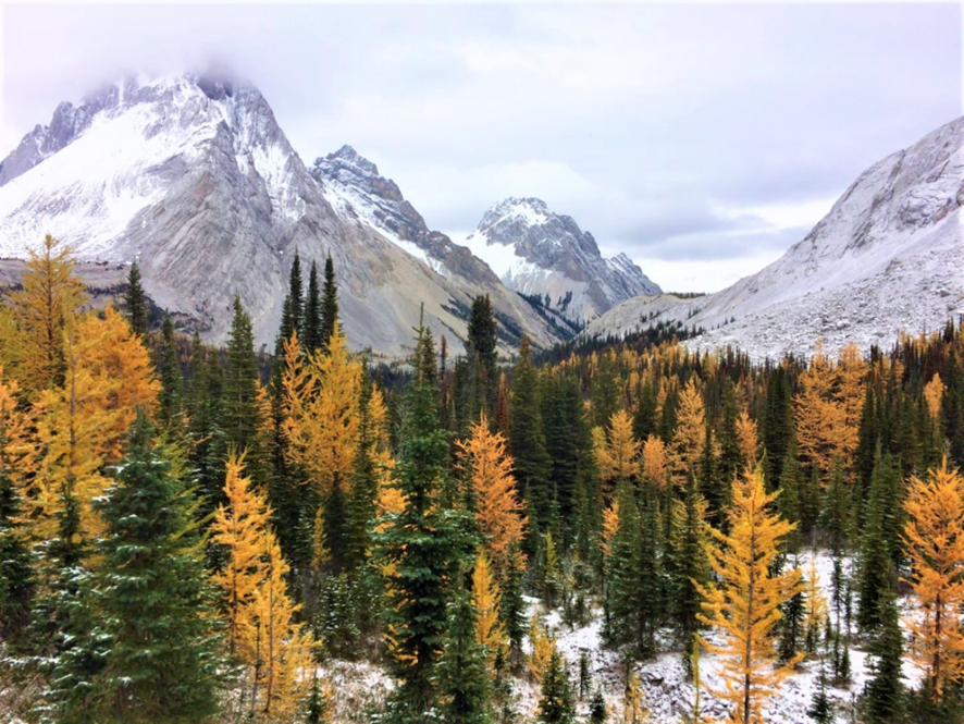 2RviaAMxX5VeUsTDtMoRqF285lz4G58TEjRQs81ov3t4yawKd1XVJUbB8WK1XRd7skfSdBvC4GglSvAcCroVbvg_629bca87253ac