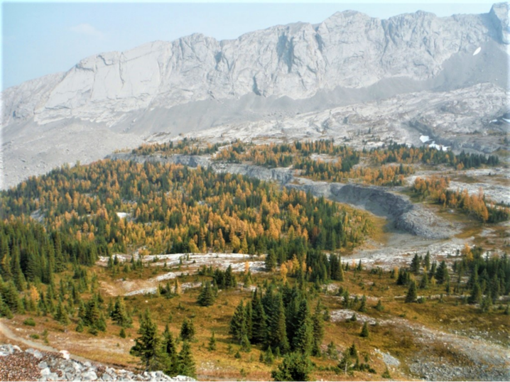 2RviaAMxX5VeUsTDtMoRqF285lz4G58TErMI4CC9plwwoiaE2jQicVAdI7zmGhCrRiavRRJR3RXB7OMjP6eib33XZYQ_629bca86e0803