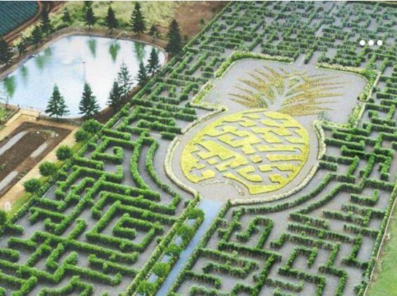 393af1c9174f04a114937dd0768efffc667558_629bcb265e4ed