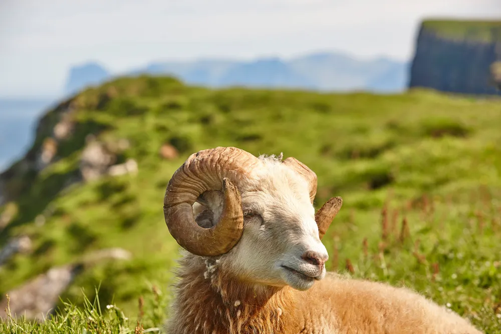 3af3be94af2c42e7a69e4b828785fc16_629bcc883a080