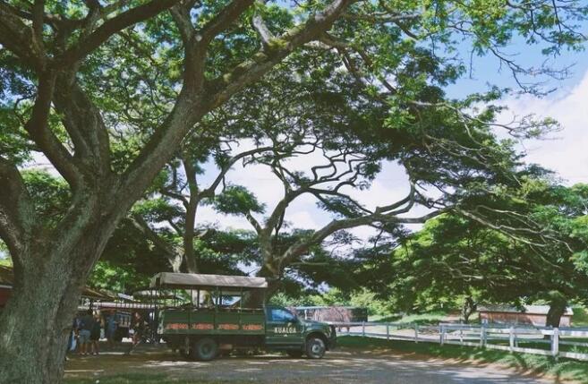 6e8cddefbce49e37210fc91fe720b9f4353341_629bcb016aafe