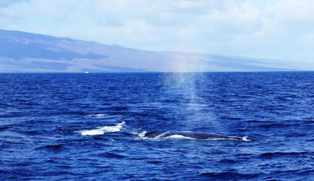 dd6ae5e76841c6837d357943f1c93090385688_629bcaf723396