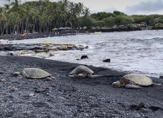 f7b12e2ff2637197734db49fb8cd3106607587_629bcb13821e5