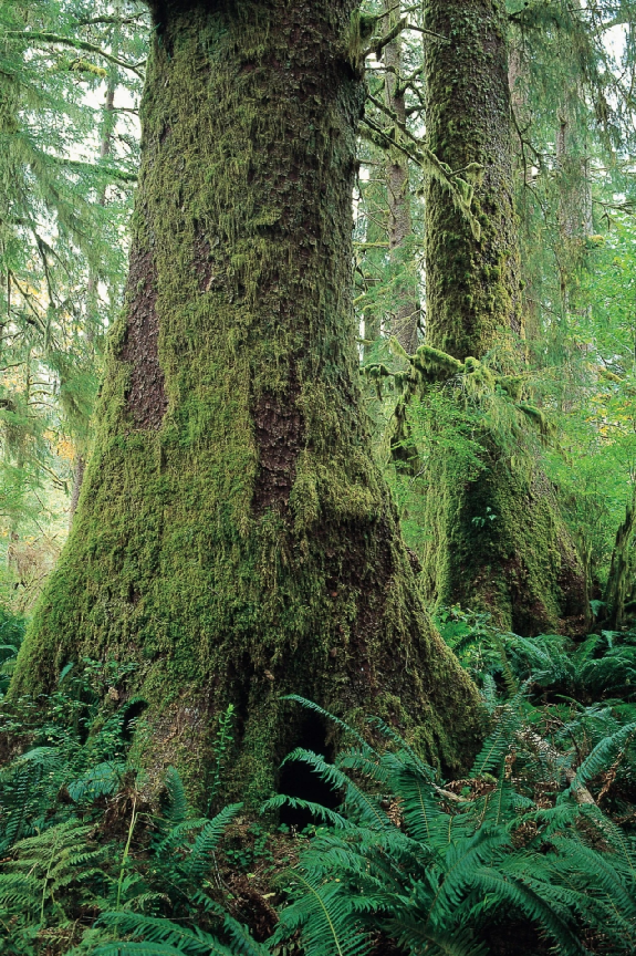 kicmKNATR9CeQ4hZUtzcN6GrVyOsbXNH52PSvaFsogeruZAVOtj1icvtib8CUTHL9aJpKOOVIaB8uGR179LgxB8oQ_629bcb6835238