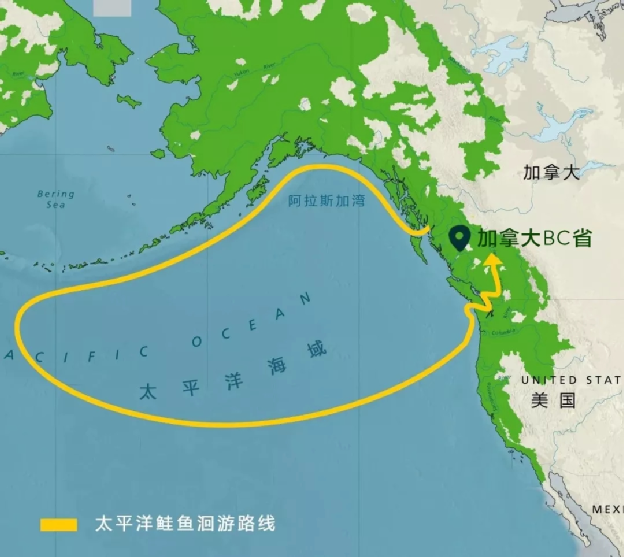 kicmKNATR9CeQ4hZUtzcN6GrVyOsbXNH5C58icBv2493PAZjvz7pjOXjEVpdcXGjLSuOW0M6CogTLYaCGQsNSRdQ_629bcb4035b23