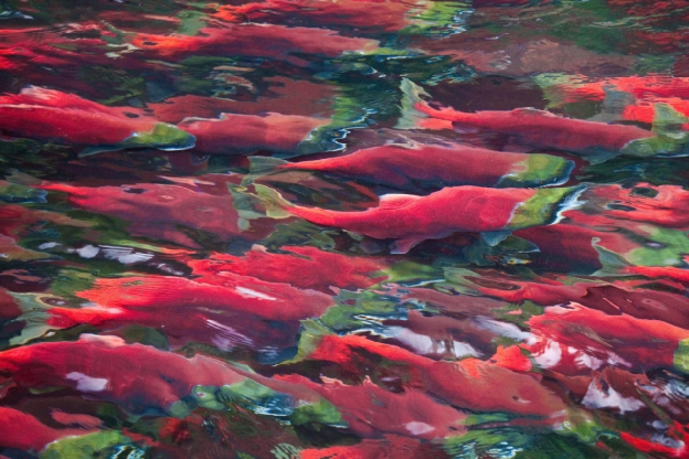 kicmKNATR9CeQ4hZUtzcN6GrVyOsbXNH5LicCuDJ8ClNoncV8ictuWba81rQAfZlqyibPzn7zzeUM1aSLqggibKNEkw_629bcb6ab0f98