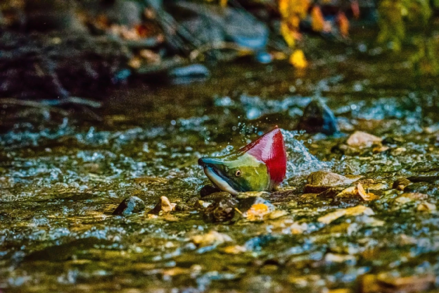 kicmKNATR9CeQ4hZUtzcN6GrVyOsbXNH5wVNulhicVr54jykeuqg9aoYAaQuMq7XuZ1CHFhxAiaOKzxfmVlgwI3rw_629bcb40ed423