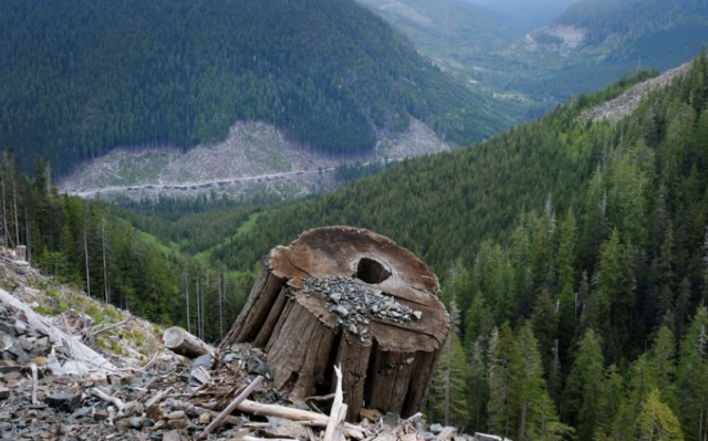 23_15225NF2_4_629b4a91429e0