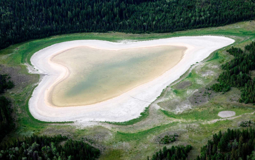 2RviaAMxX5VdicdrmAylPXTMpicNN8EMCtxD9lmnt8nB25O5UbO8e3qTNoJw4bicK47Eibhn5mCsibLNVGWvaLMrMTyg_629b4961a6498