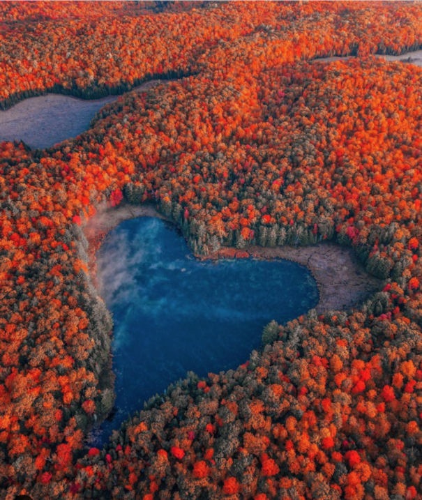 2RviaAMxX5VdicdrmAylPXTMpicNN8EMCtxXibBb4sxZGUUxpZ3y9ciaaf0GCvt2j2osdvoUfMGrqYo58GZIt1yNTMA_629b49552016d