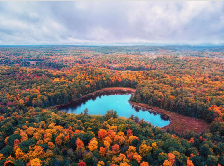 2RviaAMxX5VdicdrmAylPXTMpicNN8EMCtxceGL7ibZPoEdM2w1p6LCn4nXLl3OajUjica0xBxxgCJYg7ndtYws4qIA_629b49e5cda3d