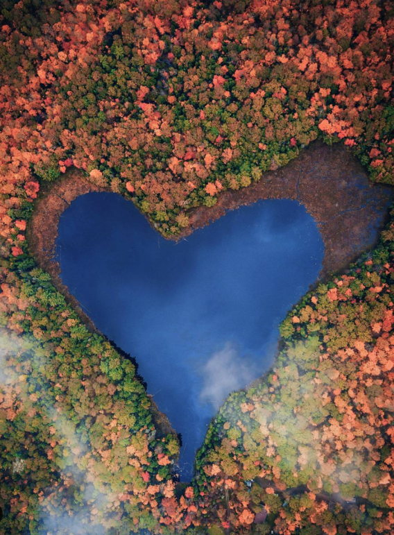 2RviaAMxX5VdicdrmAylPXTMpicNN8EMCtxg1vrg8atawiaHggs3Fo1Jmib2g0XsYWg2fAO8K5N6X47uDh4Jh7BcQxQ_629b49b1a4c30