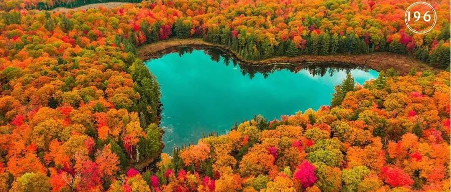 2RviaAMxX5VdicdrmAylPXTMpicNN8EMCtxn3HA00RCibG54yrhv4shqsP7ST3Fk4DLTgQEPw5Ro5U9KKz0WibmD0KQ_629b49ff52f13