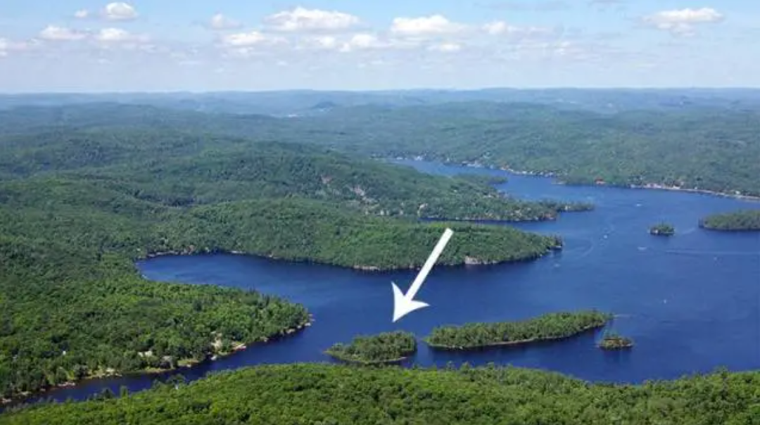 2RviaAMxX5VdicdrmAylPXTMpicNN8EMCtxpuZiagdJic5UN5gD5Z8Yjrg2EbU5Rhhiaeejlias4czoHHy8VL3ZDxv8Qg_629b49a38ba3f