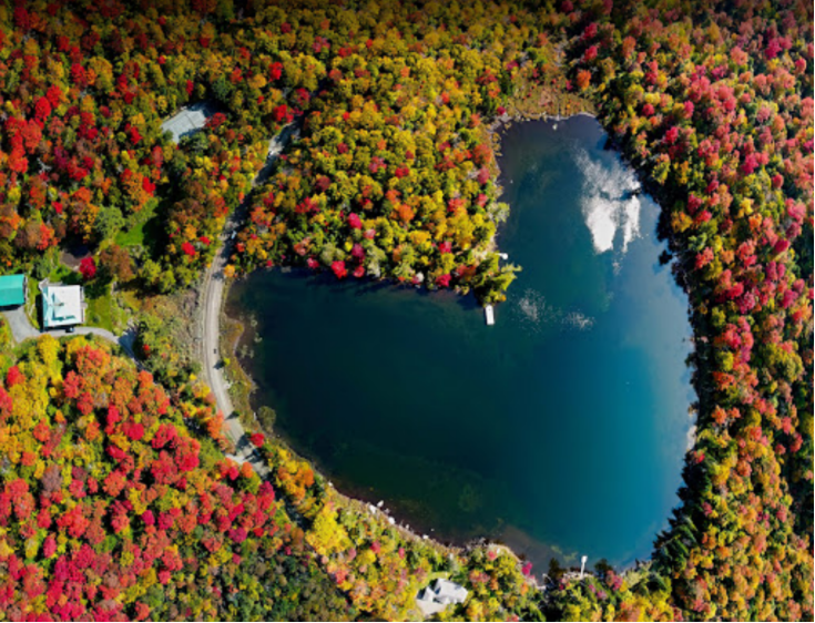 2RviaAMxX5VdicdrmAylPXTMpicNN8EMCtxv3g4RnoxJ3XgUqRib5B6ekjSBCLQibWGIZCejkSzuw47m86APrW3XqFQ_629b4a05ec69e