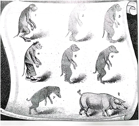 640_629b4a7358139 640_629b4a7358139