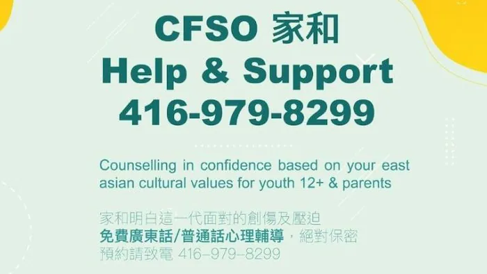 cfso