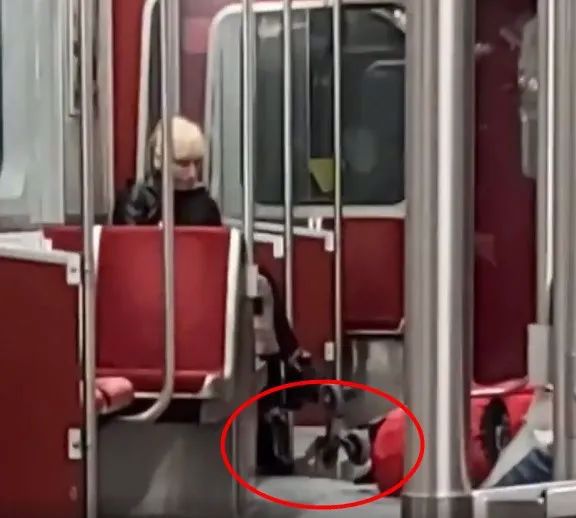 rzMZw8sfTIYptrF49ib27o0gs1vorr42NGwHicOkXZqFAKvA3ozazmwA7iad73iczwVJ589WTDEIcibT3z0zWdYxXiaQ_629b47d8d8637