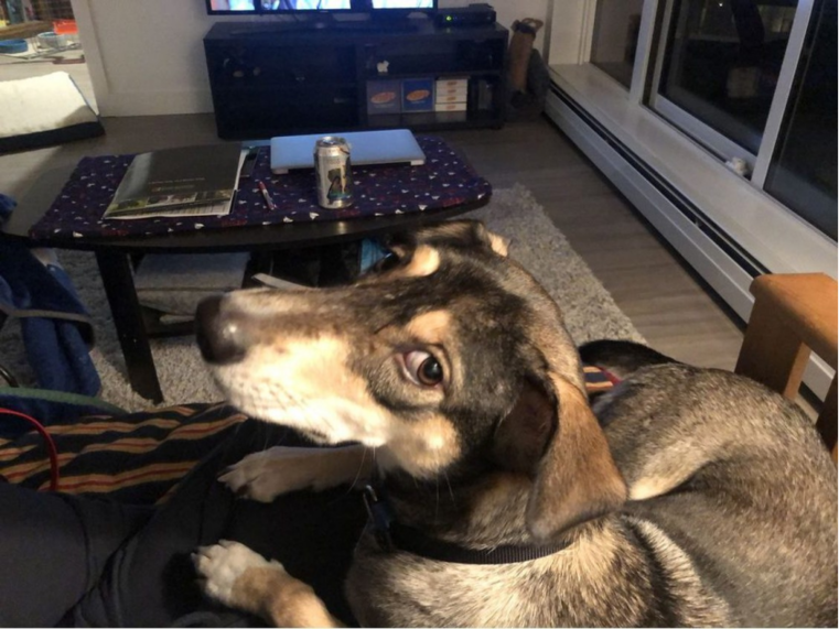 2RviaAMxX5Vc3ibS9AlX39B45NIB6pReOL33ggibOAIWKUUUBPTAhI5FTIMlEPLQnUOTg5kgKB8elhk1NXFSClh1Q