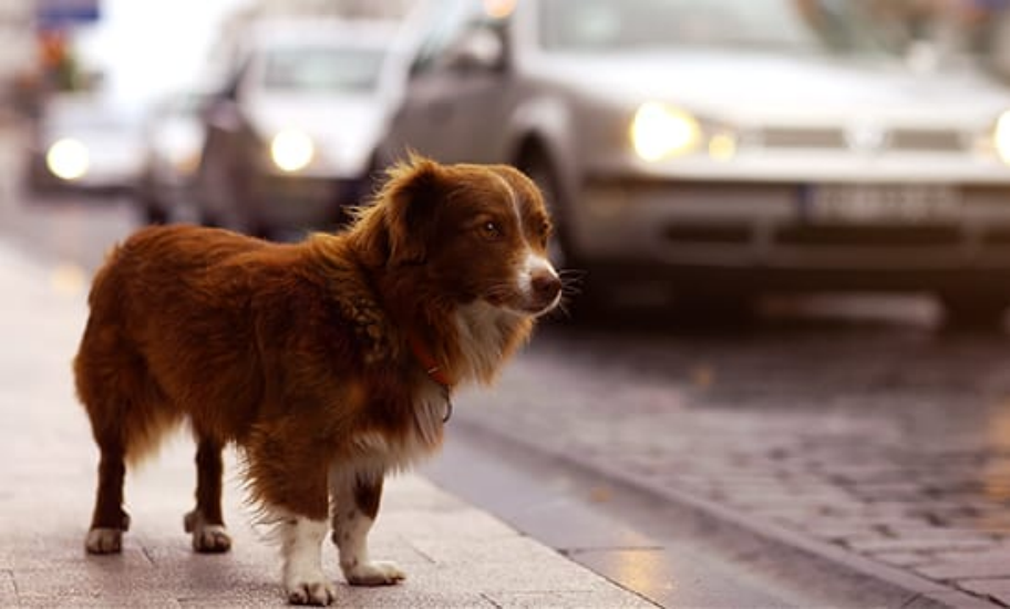 2RviaAMxX5Vc3ibS9AlX39B45NIB6pReOLQLOHmbs40dFUUgR6Sn1cekZNFh0tBCLEq0gBhWTsubDfc8sYOY2EQQ