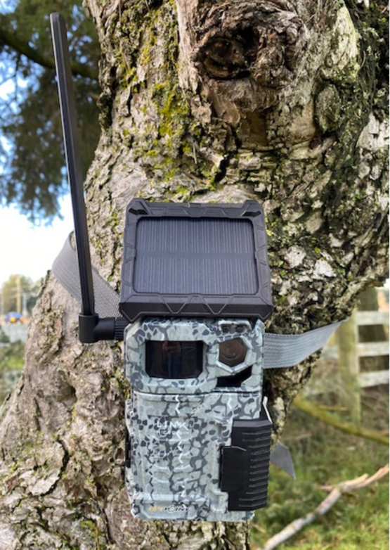 2RviaAMxX5Vc3ibS9AlX39B45NIB6pReOLowuKxc7S4NSBDcCHr4s7u5bR8PwOgQCLzoW5x2juOgU1SdiasZh5FKg