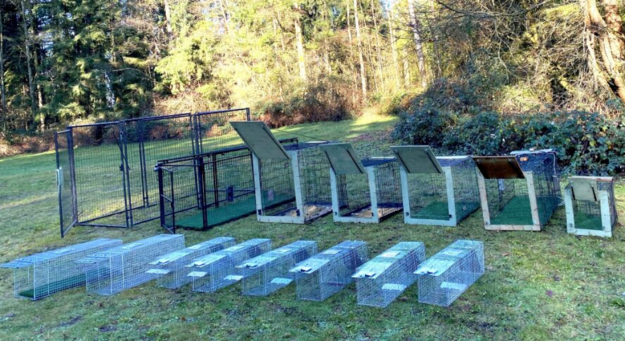 2RviaAMxX5Vc3ibS9AlX39B45NIB6pReOLu2E8IZGAgIX2gfHGjXSXY2JwGoK8F9JUFAIUmmD3KkWqsIwqNWArXQ