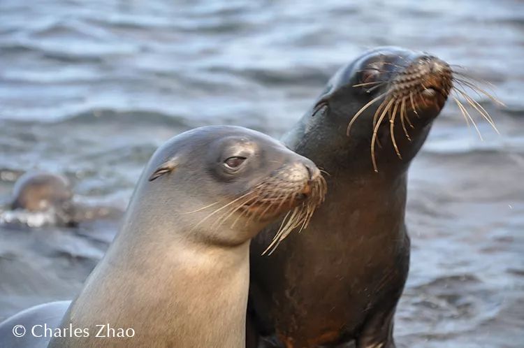 CoUBGV2cI5-AUDkFAAC0ErQJBig69_r29W7VFuj198