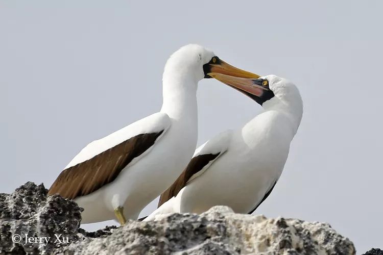 CoUBGV2cI56AYTyiAACMfxnrUzM12_M6Y31i0gHt7D