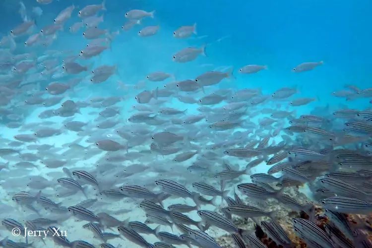 CoUBGV2cI5yAZF9_AADnv4TM8ys76_lYf7M2LrszPY