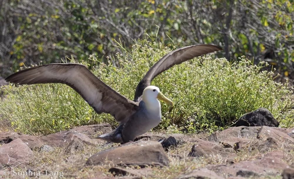 CoUBGV2cI62AbEF5AAKTuYvLGMg59_wtkt41cwUkCV