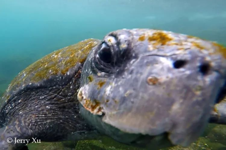 CoUBGV2cI6CAU2xWAAC20fw7zuI16_gObss1pBzbxd