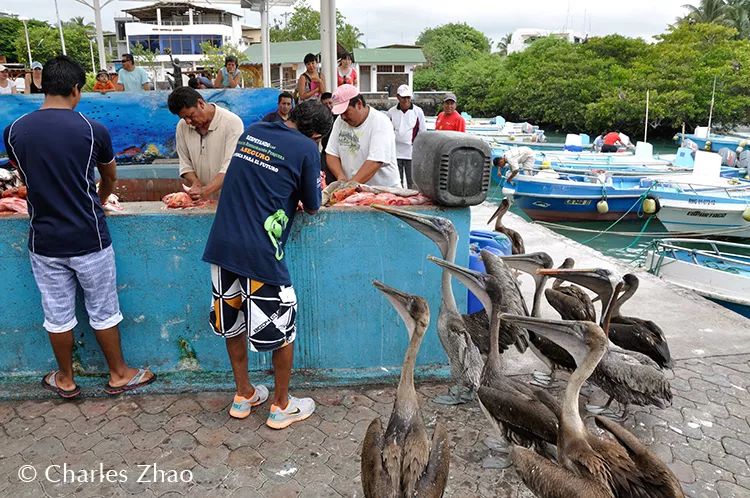 CoUBGV2cI6SARsrLAAHNVlrQS2A22_XtYmb3lQo8B6