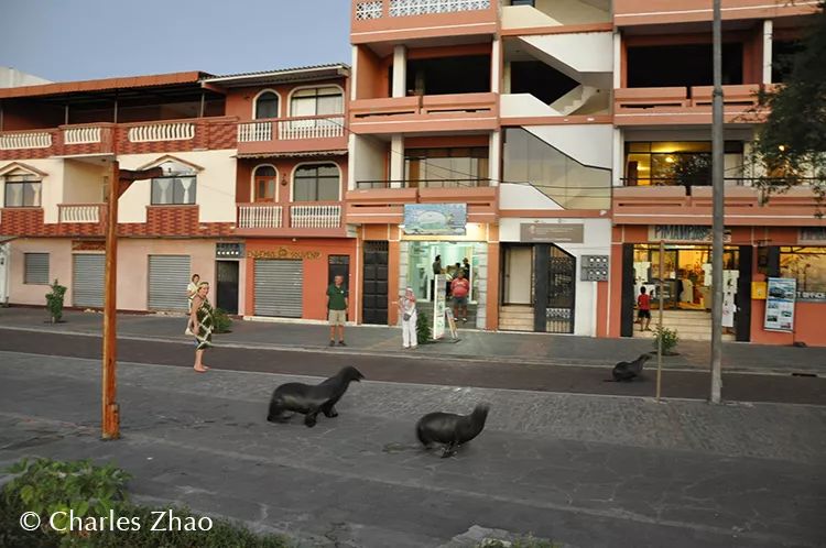 CoUBGV2cI6SASeHEAAEghBpsYc452_hBynXU05O635