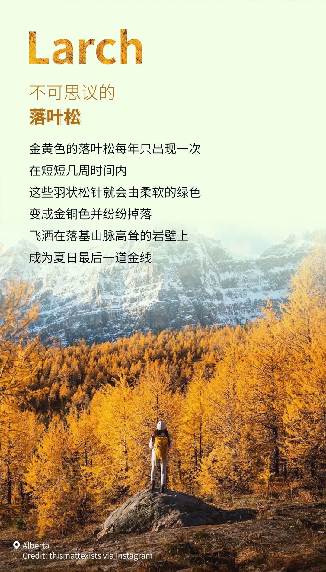 OicVs7aCU1mpQOZCdJq5C0tg1Jf1beRJ0gGfcctPKibDanibT8aDqcmmtAn6E5ESY1HN0WMVcfwjfZiaEESlMgkabQ