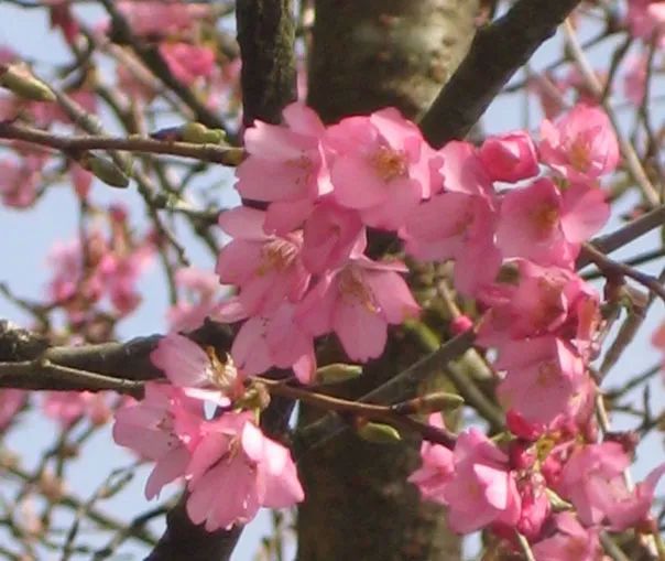 bFoic9fJo4B3vQZAegrkqgt6VVbaMdPUd1YYyIvnI8edMBMQRJXVlw0uCTaAedKbib29AhnoXcLraQloSo9hJl9w