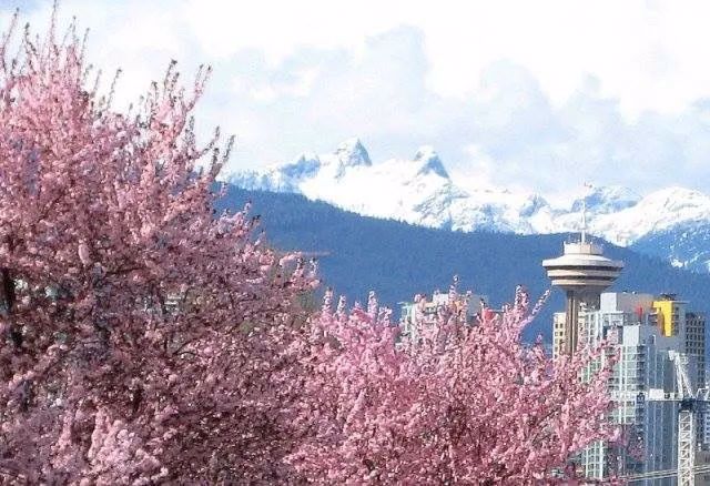 bFoic9fJo4B3vQZAegrkqgt6VVbaMdPUd27Oiaqqd6mKhr2l4vNjsxjDIwKSJiaxQN4yXhf1q5cCtA916n0kMG5Sg